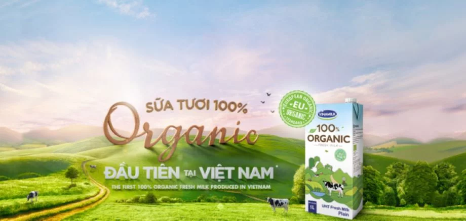 dịch vụ kế toán trọn gói và dịch vụ thành lập doanh nghiệp