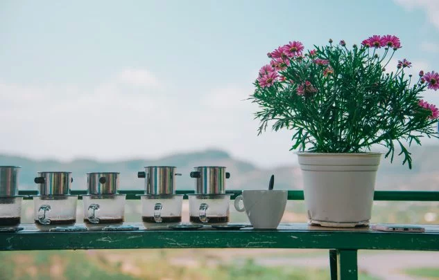 Nhận đánh chữ thuê giá rẻ theo yêu cầu